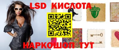 spice Славгород