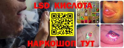 spice Славгород