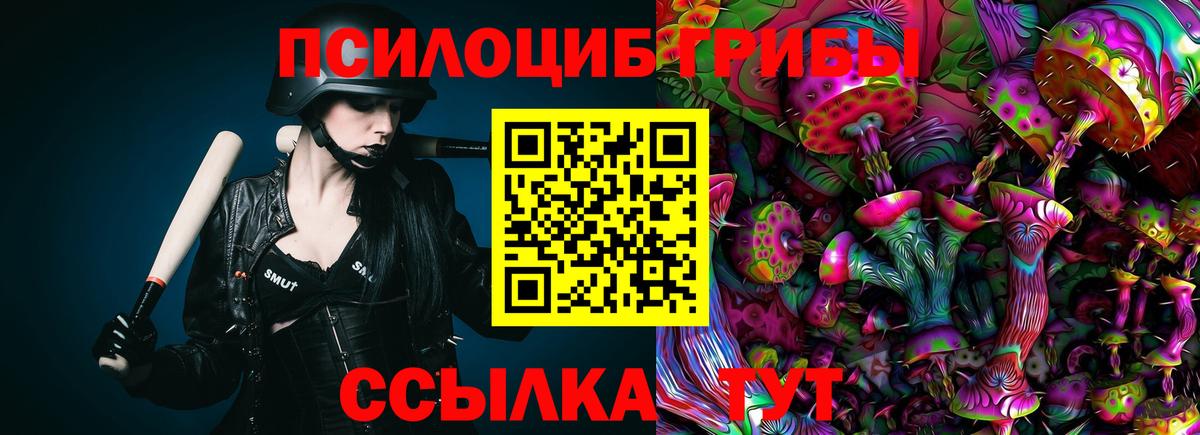 Галлюциногенные грибы Psilocybe Нижний Новгород