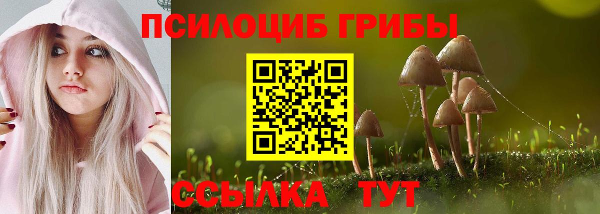 Нижний Новгород  Псилоцибиновые грибы GOLDEN TEACHER  Вход с VPN 